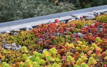 the cost of Ramsey St Marys green roof installation