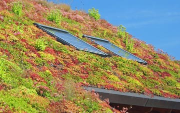 Ramsey St Marys living roof systems
